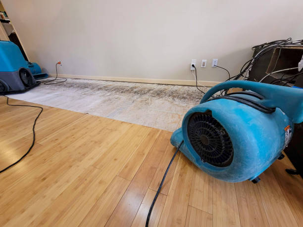 Professional Basement Flood Cleanup technician working in Flagtown, NJ
